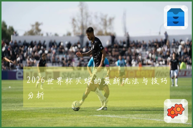 2026世界杯买球的最新玩法与技巧分析