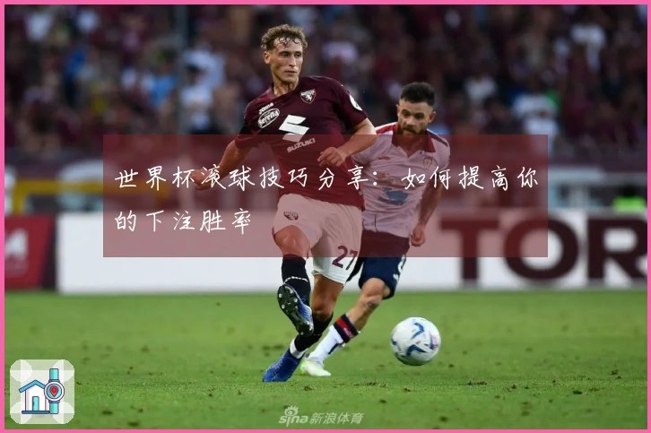 世界杯滚球技巧分享：如何提高你的下注胜率