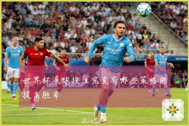 世界杯滚球投注究竟有哪些策略能提高胜率