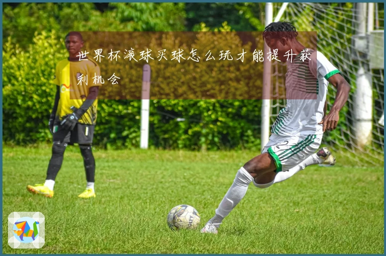 世界杯滚球买球怎么玩才能提升获利机会