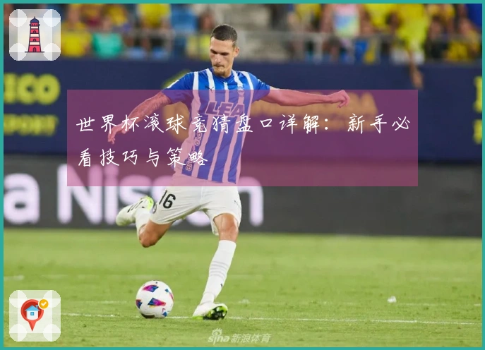 世界杯滚球竞猜盘口详解：新手必看技巧与策略