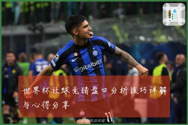 世界杯让球竞猜盘口分析技巧详解与心得分享