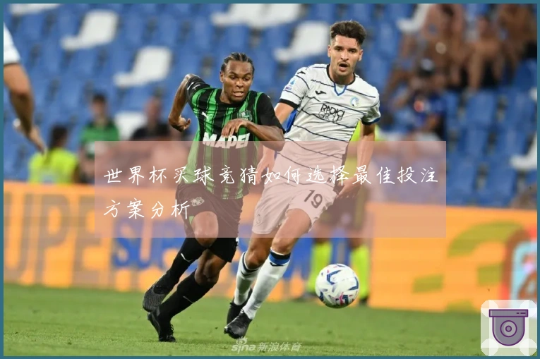 世界杯买球竞猜如何选择最佳投注方案分析