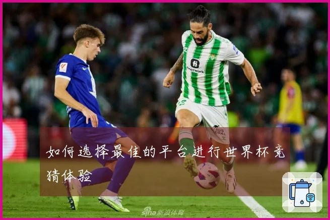 如何选择最佳的平台进行世界杯竞猜体验