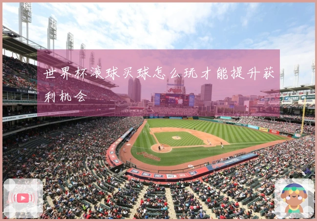 世界杯滚球买球怎么玩才能提升获利机会