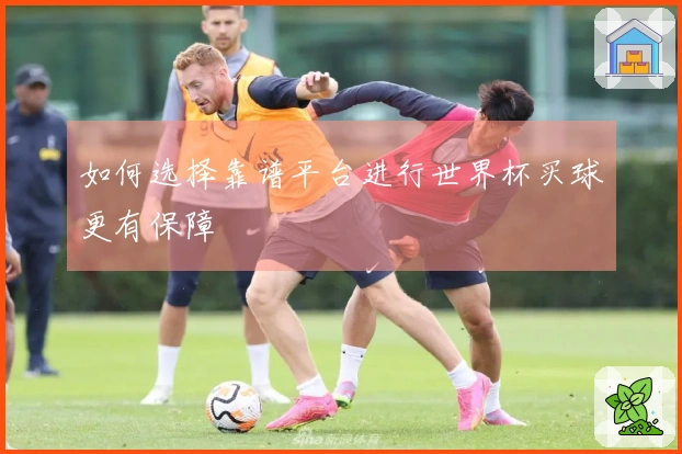 如何选择靠谱平台进行世界杯买球更有保障